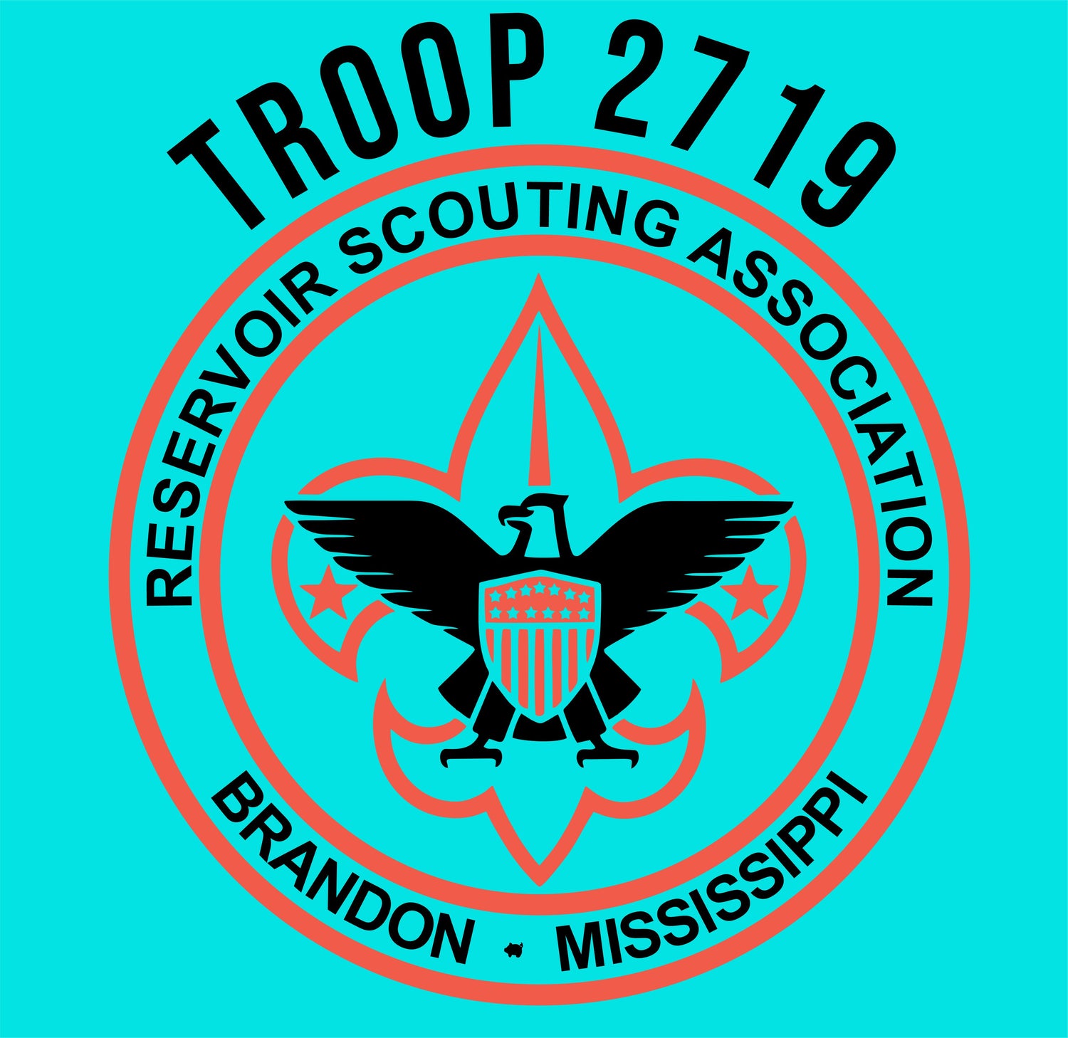 Troop 2719